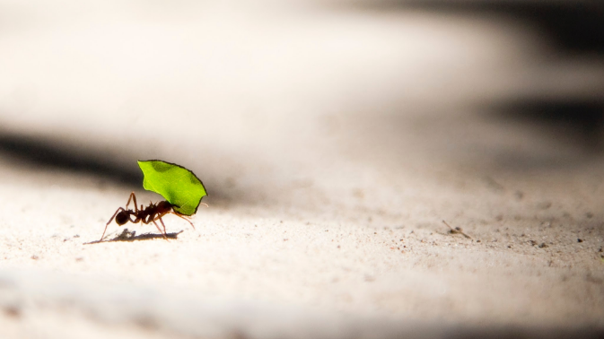 通过手机码能够了解你的哪些方面? 手机号码是我们当代社会运用多的数字组合。通过手机号码我们能够了解到哪些方面呢?