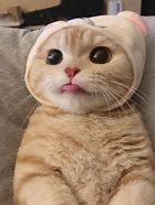 大家都知道新号段,不论是联通166,还是移动198,或是电信199,一般开卡都是有最低消费的。为什么新号段都会有这样的规定?