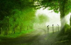 了解过手机号码的朋友应该都知道，现在老号段的手机号码越来越少了。取而代之的都是一些191、177等开头的号码。